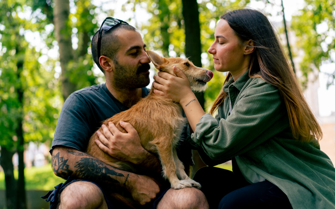 HOW MUCH DOES IT COST TO FEED YOUR FUR BABIES?