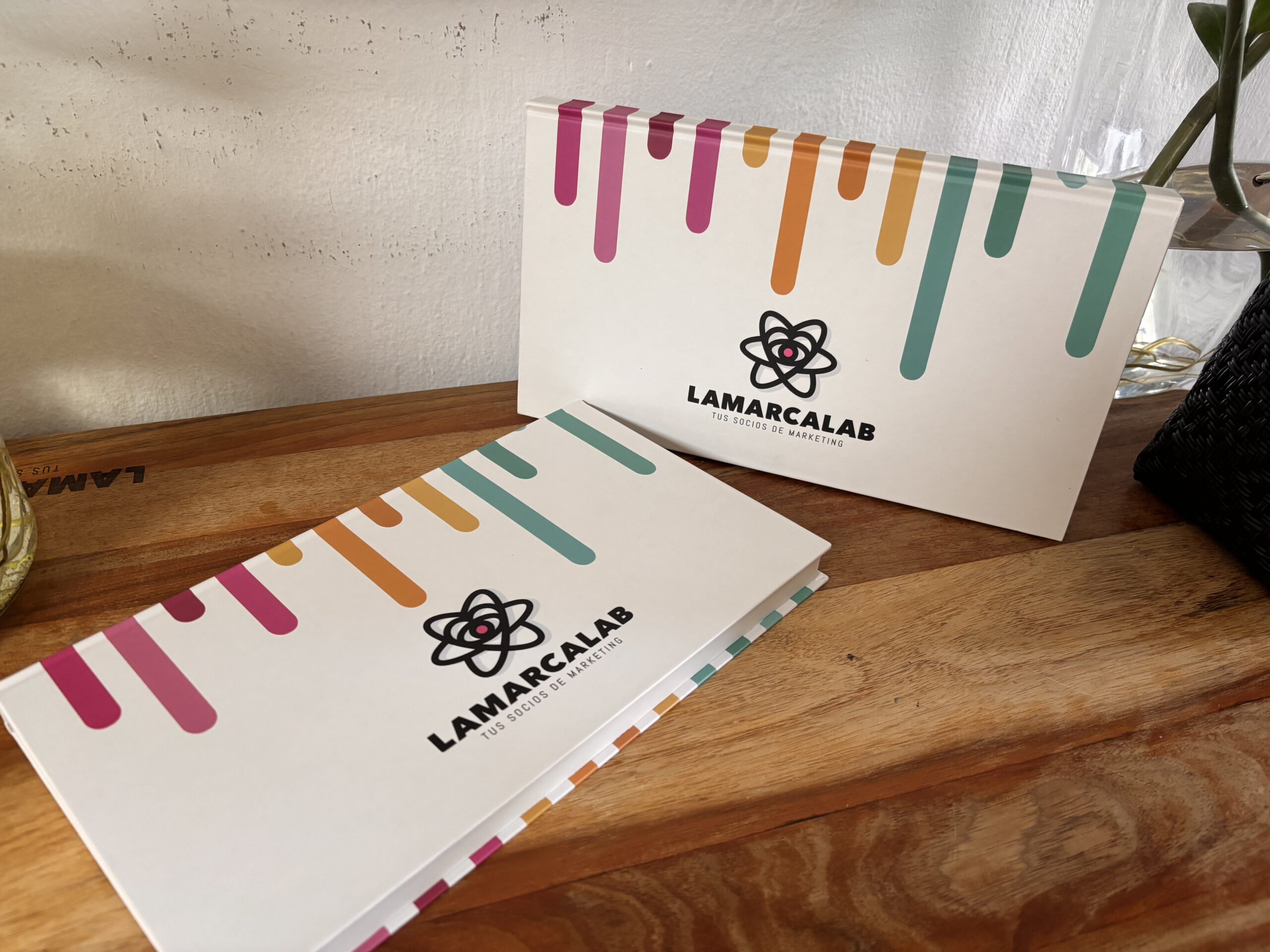 LIBRO IMPRESO: Las Mujeres Mexicanas y El Agua mineral 2025